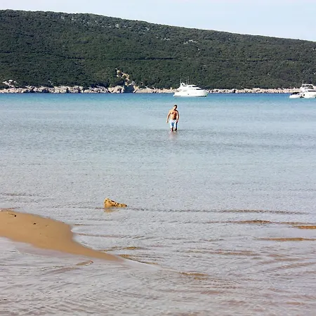 With Parking Space Lopar, Rab - 24617